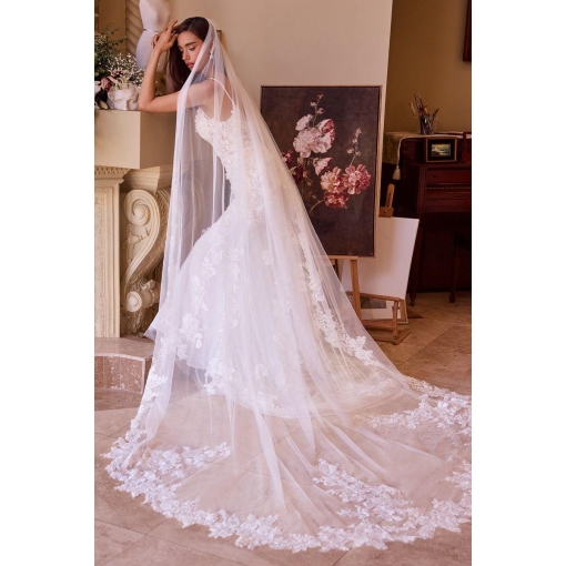 Scalloped Lace Veil