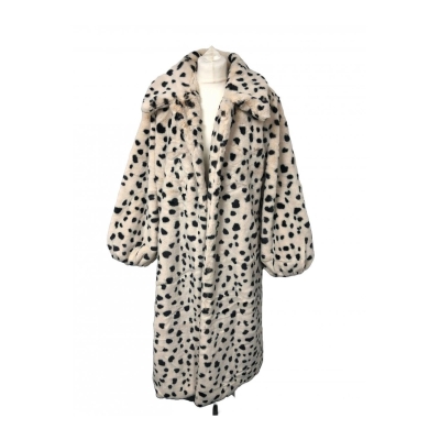 Dalmation