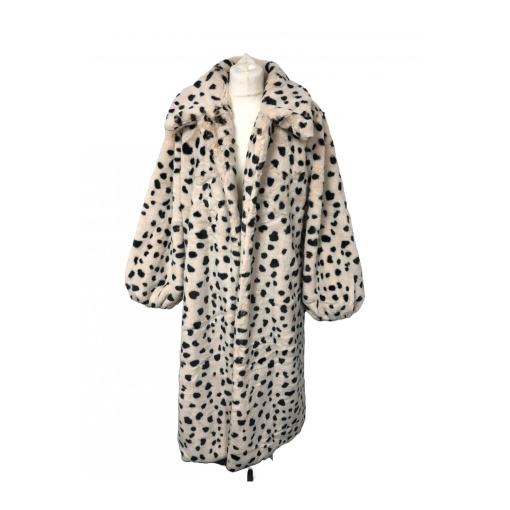 Dalmation